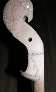 Οι καμπύλες διαμόρφωσης της βάσης της κεφαλής, με τις περιοχές αριθμημένες σύμφωνα με τη χρονική σειρά μορφοποίησής τους.