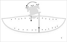 Ο μηχανισμός διέγερσης του ηχείου της λύρας από το «χοροπήδημα» της γέφυρας που προκαλείται από τις εγκάρσιες δονήσεις των χορδών.